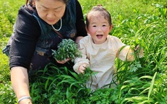 钟丽缇门照艳全集